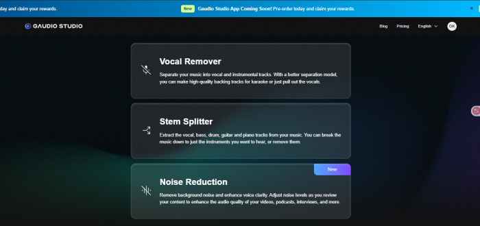 choose vocal remover
